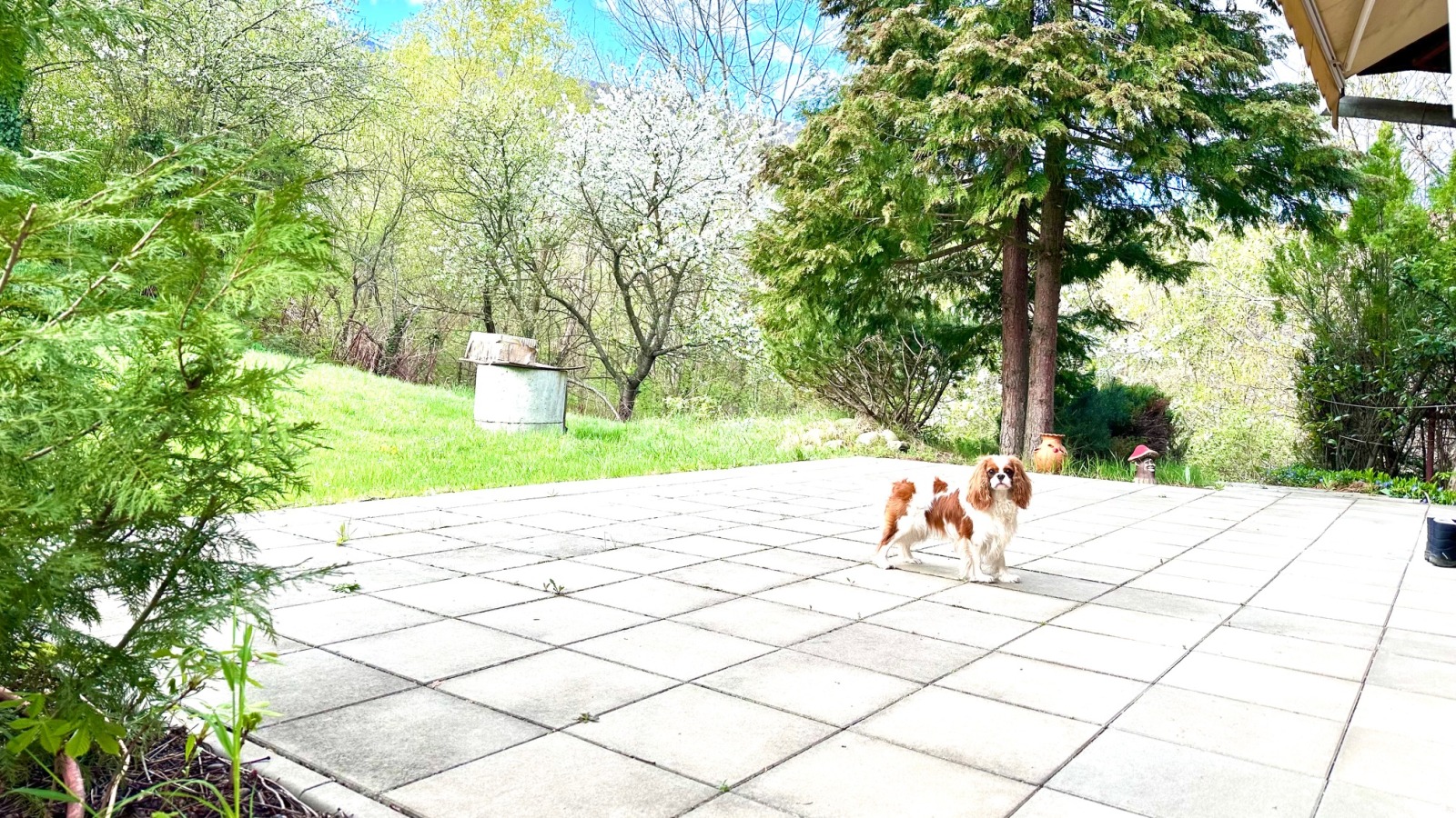 Продава КЪЩА, гр. София, Драгалевци, снимка 12 - Къщи - 54328434