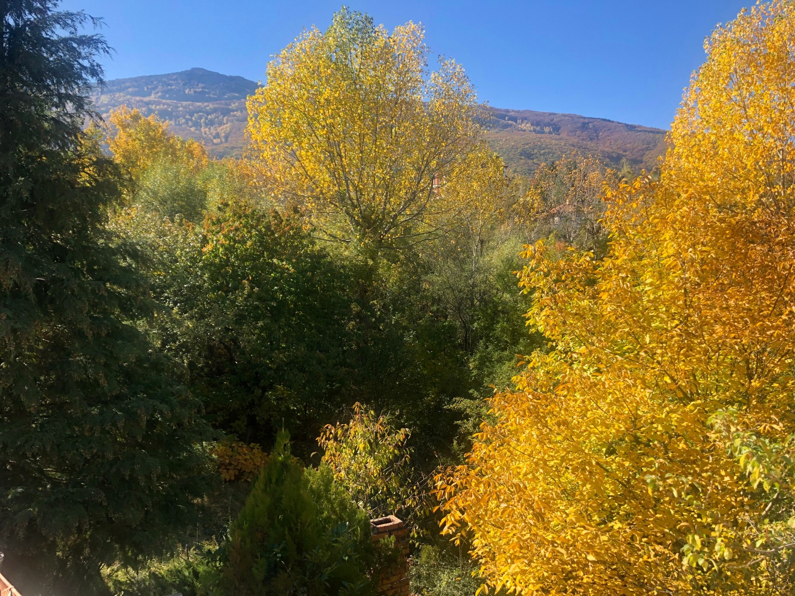 Продава КЪЩА, гр. София, Драгалевци, снимка 9 - Къщи - 54328434