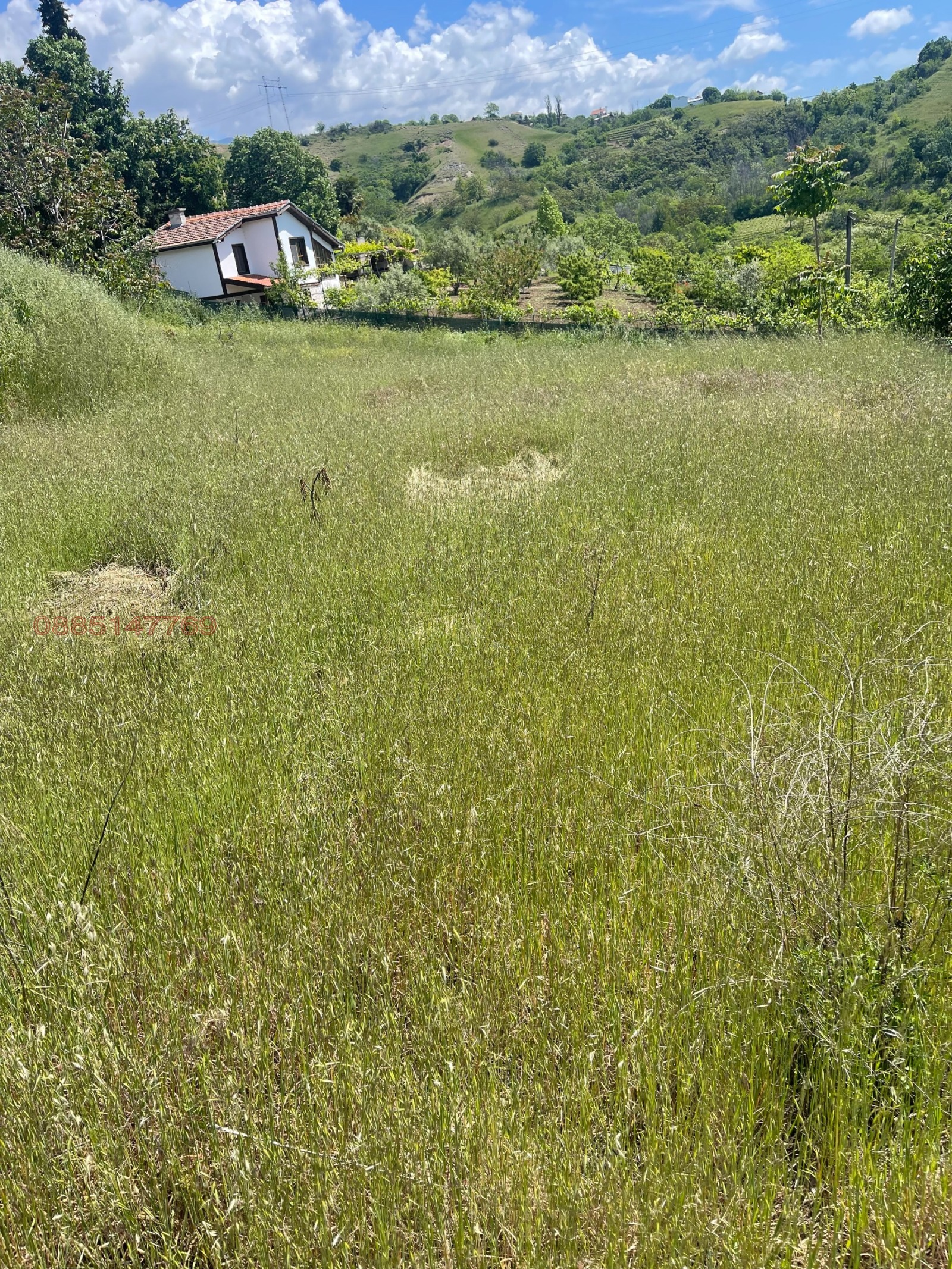 Продава ПАРЦЕЛ, с. Поленица, област Благоевград, снимка 3 - Парцели - 54655159