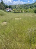 Продава ПАРЦЕЛ, с. Поленица, област Благоевград, снимка 3