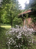 Продава  Къща град София , Драгалевци , 350 кв.м | 86442275 - изображение [4]