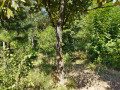Продава ПАРЦЕЛ, град София, с. Мърчаево • 55280 € • 84232558 — Holmes.bg