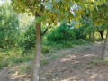 Продава ПАРЦЕЛ, град София, с. Мърчаево • 55280 € • 84232558 — Holmes.bg