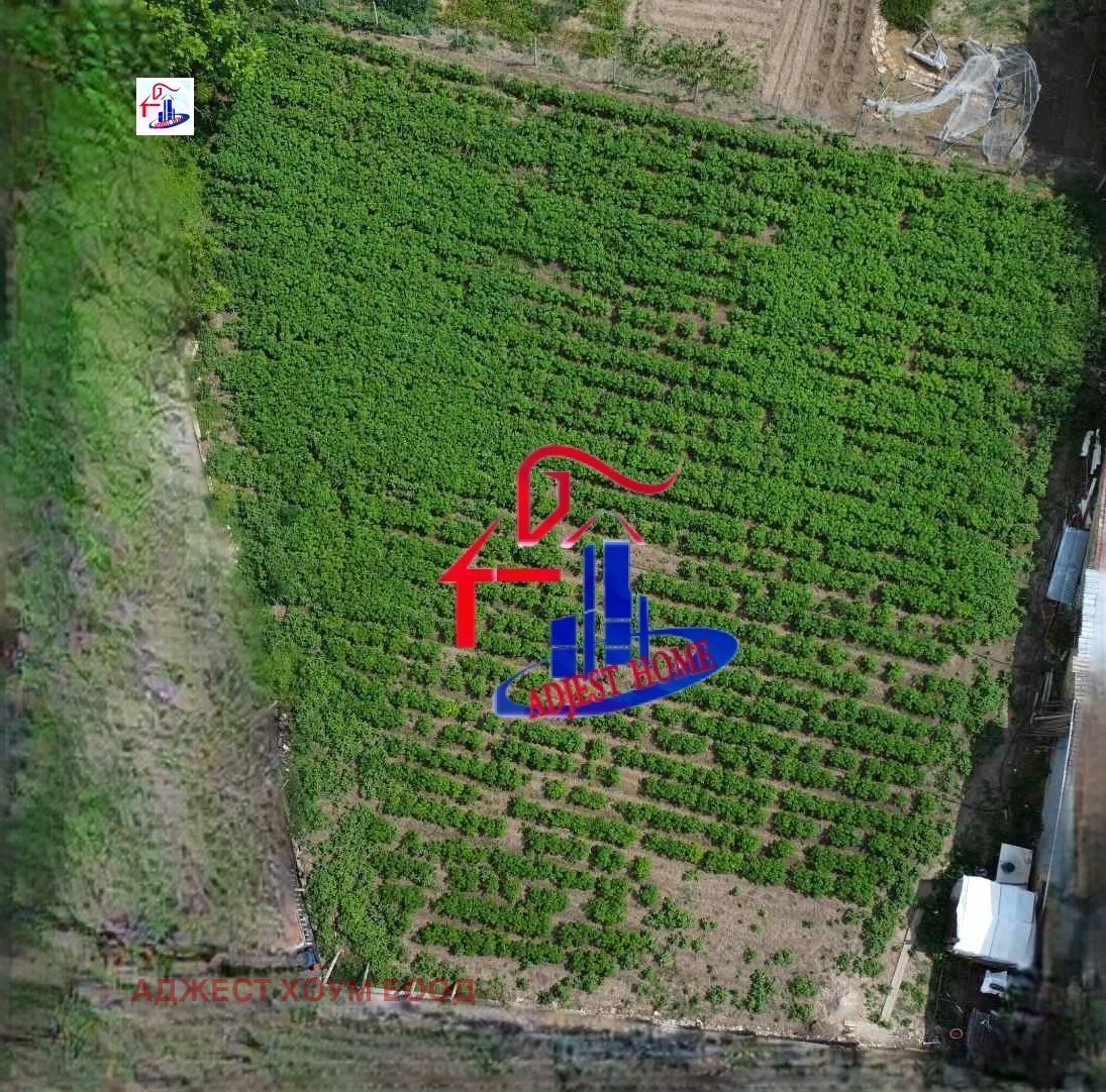 ������� ������ | Imot.bg � ����������� 1