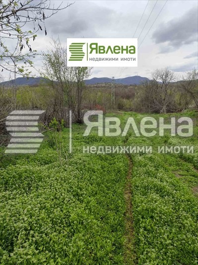 À vendre  Parcelle région Vidin , Dabravka , 1552 m² | 81715018