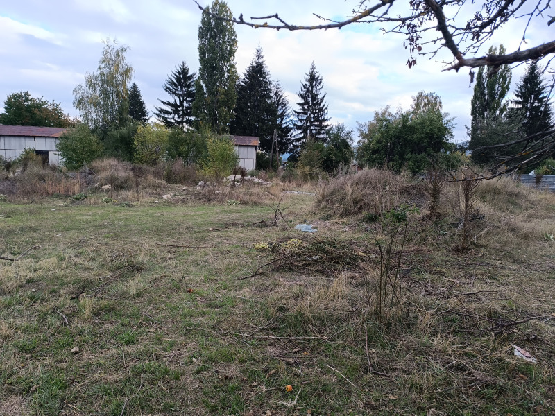 Продава ЗЕМЕДЕЛСКА ЗЕМЯ, гр. Велинград, област Пазарджик, снимка 7 - Земеделска земя - 52623391