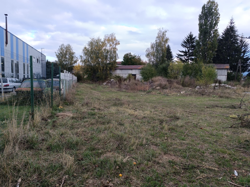 Продава ЗЕМЕДЕЛСКА ЗЕМЯ, гр. Велинград, област Пазарджик, снимка 6 - Земеделска земя - 52623391