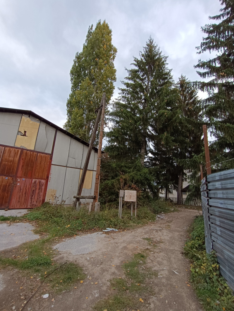 Продава ЗЕМЕДЕЛСКА ЗЕМЯ, гр. Велинград, област Пазарджик, снимка 2 - Земеделска земя - 52623391