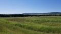 Продава ПАРЦЕЛ, област Варна, гр. Игнатиево • 34000 € • 81110334 — Holmes.bg