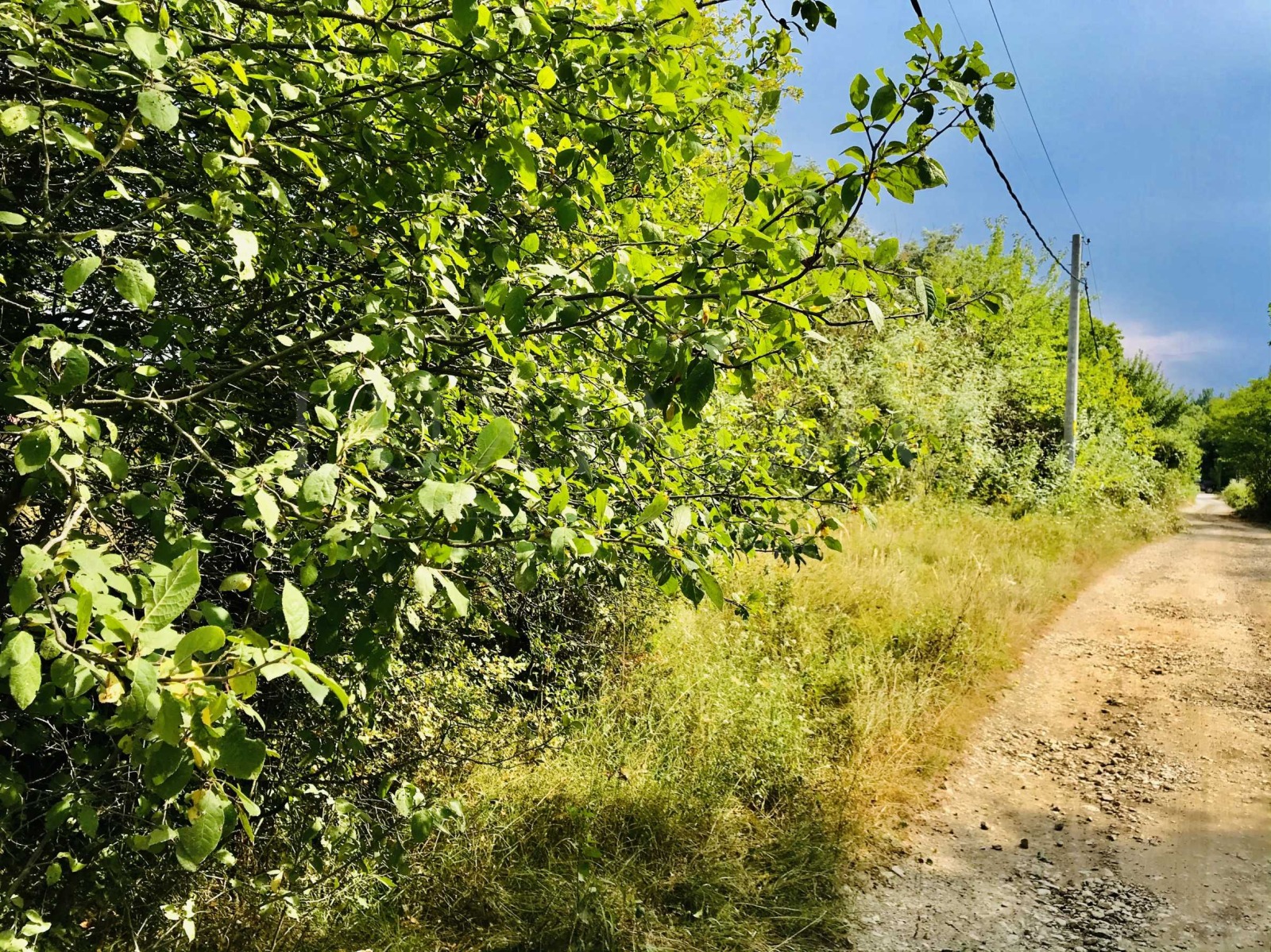 Продава ПАРЦЕЛ | Imot.bg — изображение 14