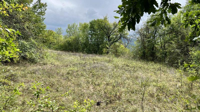 Satılık  Komplo bölge Gabrovo , Dryanovo , 9669 metrekare | 86351833 - görüntü [5]