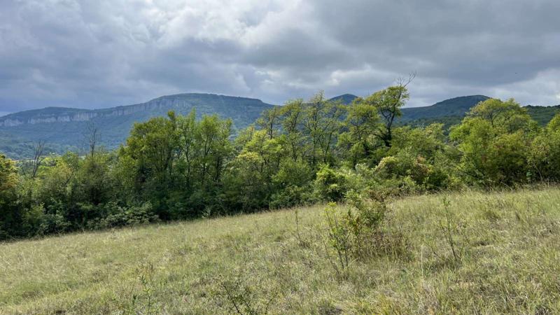 Satılık  Komplo bölge Gabrovo , Dryanovo , 9669 metrekare | 86351833 - görüntü [3]