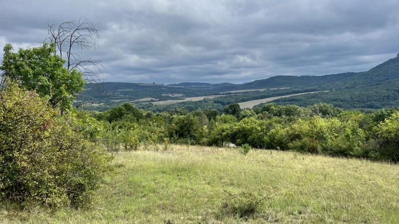 Satılık  Komplo bölge Gabrovo , Dryanovo , 9669 metrekare | 86351833 - görüntü [4]