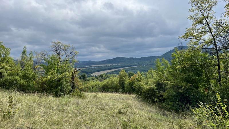 Satılık  Komplo bölge Gabrovo , Dryanovo , 9669 metrekare | 86351833 - görüntü [2]