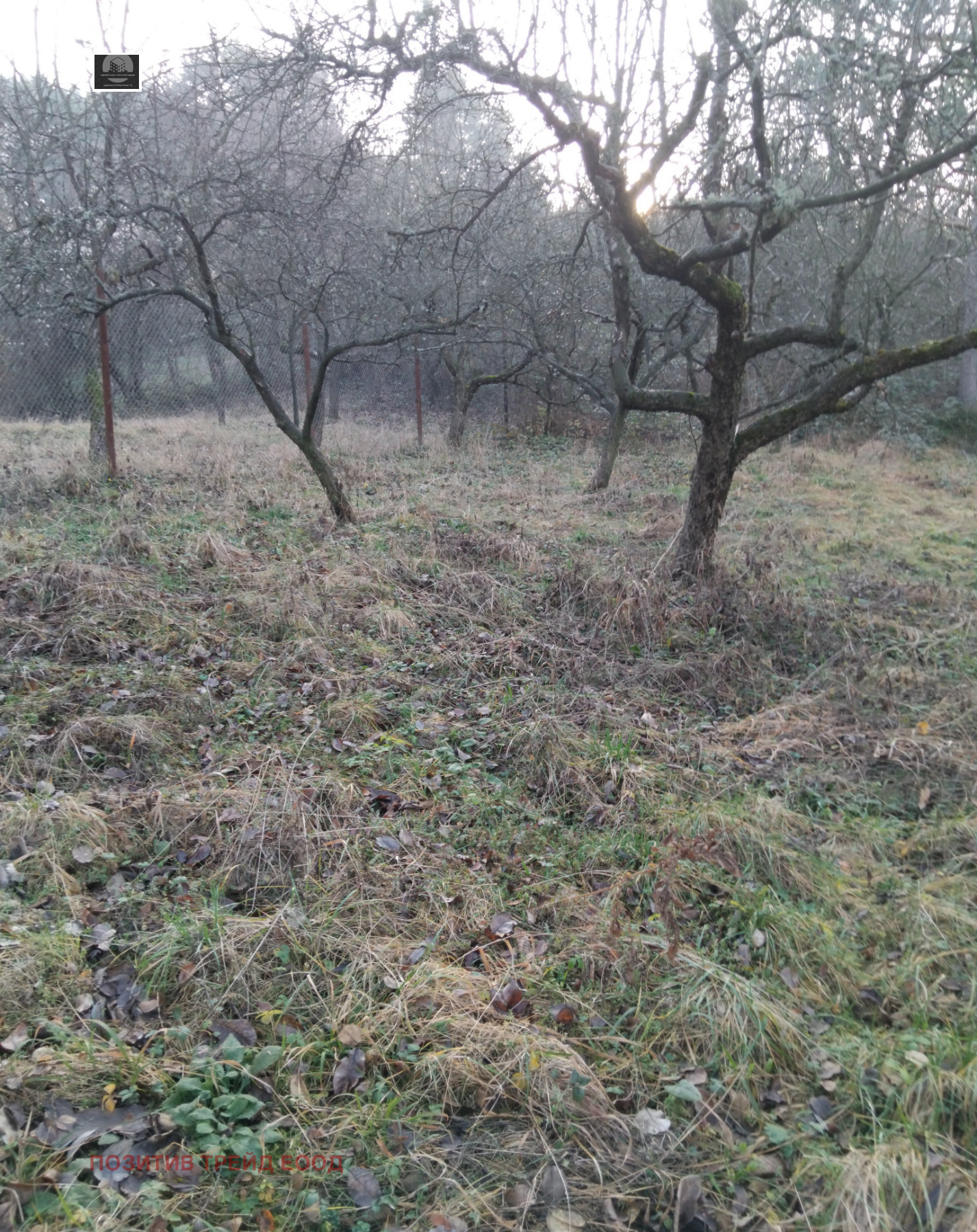 ������� ���� | Imot.bg � ����������� 8