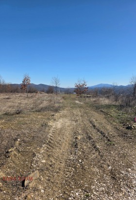 ������� ������ | Imot.bg � ����� ������ 12