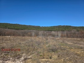 ������� ������ | Imot.bg � ����� ������ 8