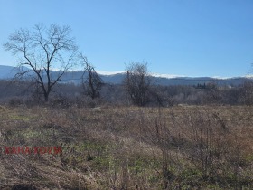 ������� ������ | Imot.bg � ����� ������ 15