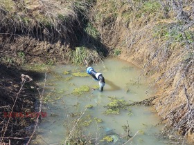 ������� ������ | Imot.bg � ����� ������ 10