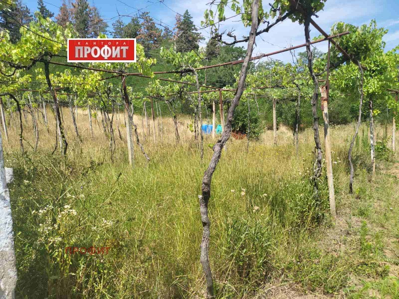 Продава  Къща област Пловдив , с. Розовец , 53 кв.м | 99245172 - изображение [14]