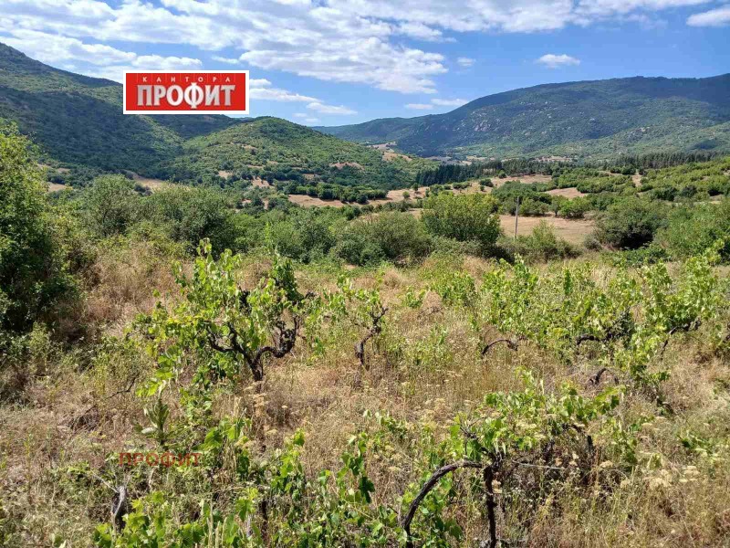 Продава  Къща област Пловдив , с. Розовец , 53 кв.м | 99245172 - изображение [17]