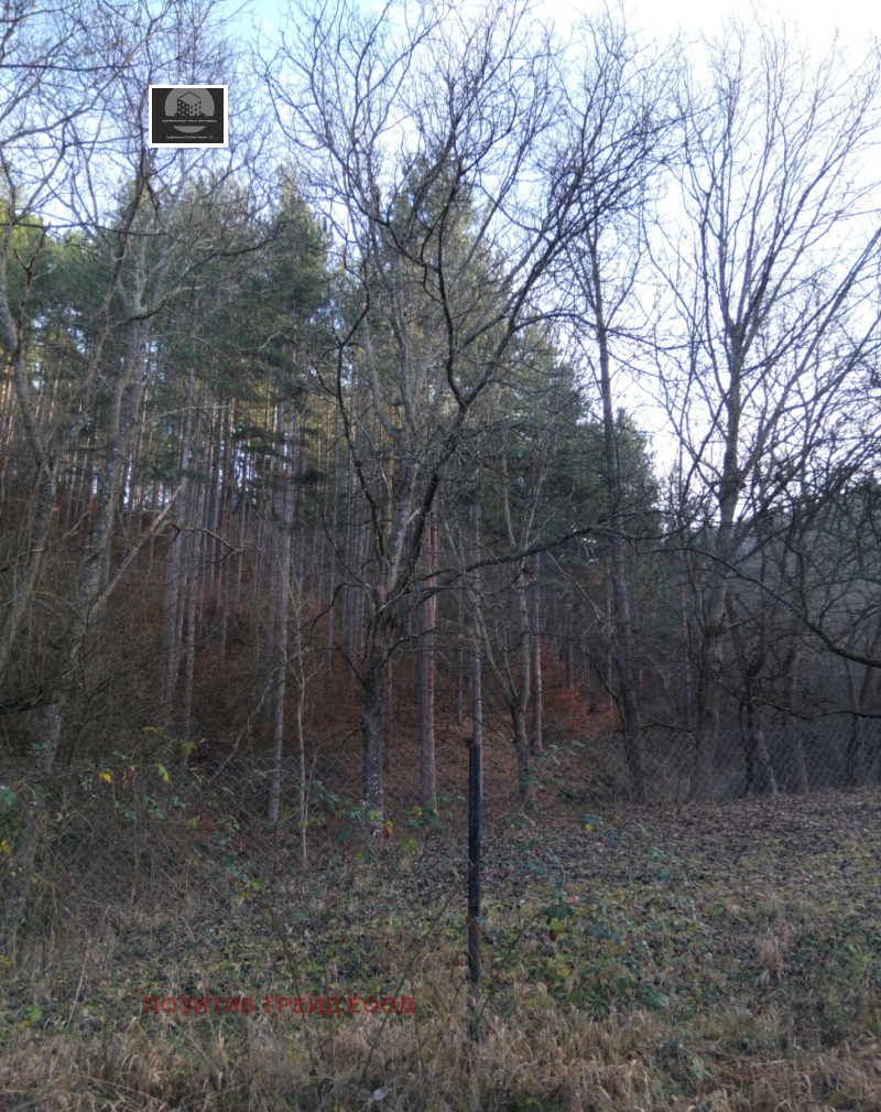 Продава КЪЩА, гр. Кюстендил, Колуша, снимка 9 - Къщи - 52742093