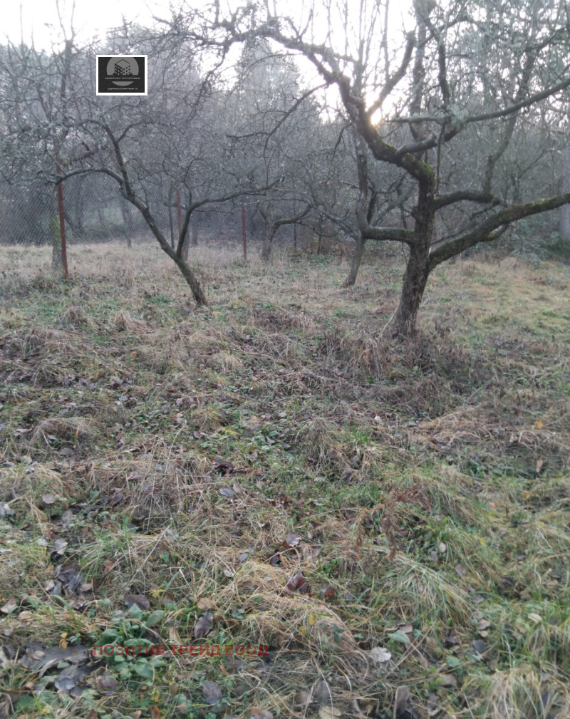 Продава КЪЩА, гр. Кюстендил, Колуша, снимка 8 - Къщи - 52742093