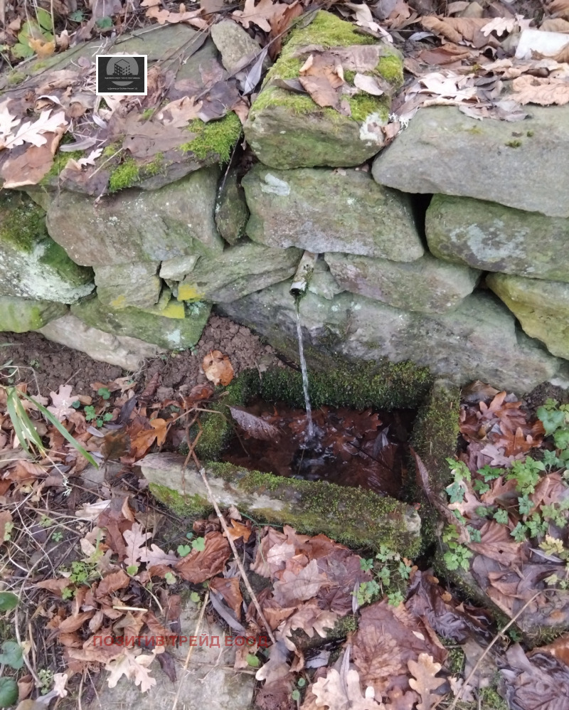 Продава КЪЩА, гр. Кюстендил, Колуша, снимка 3 - Къщи - 52742093