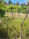 Продава КЪЩА, област Пловдив, с. Розовец • 65000 € • 61550589 — Holmes.bg