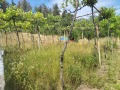 Продава КЪЩА, област Пловдив, с. Розовец • 65000 € • 61550589 — Holmes.bg