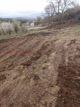 ������� ������ | Imot.bg � ����� ������ 2