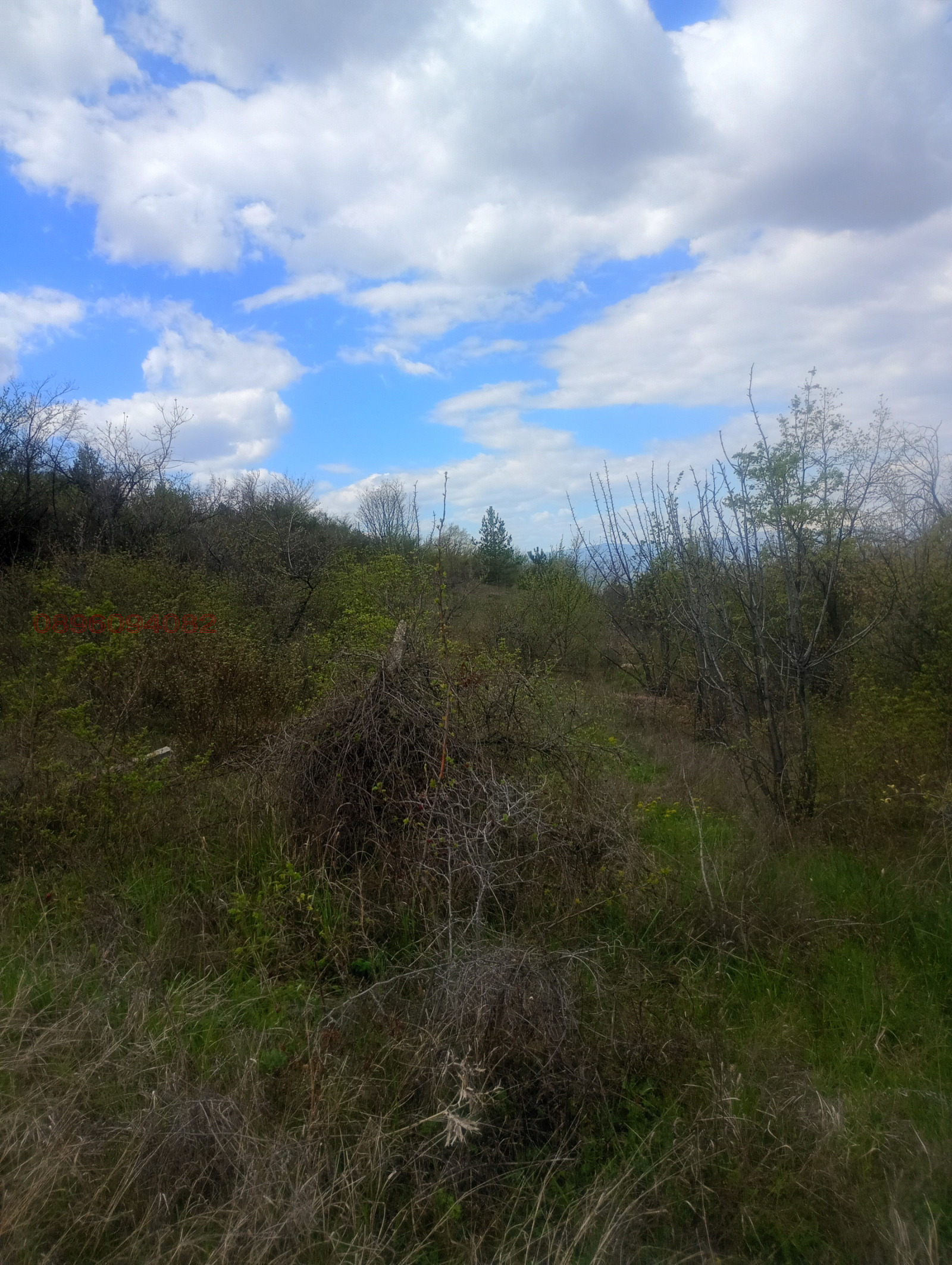 Продава ПАРЦЕЛ, гр. Перущица, област Пловдив, снимка 3 - Парцели - 54153444