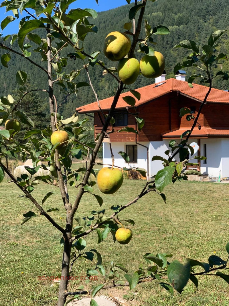 Продава КЪЩА, к.к. Боровец, област София област, снимка 8 - Къщи - 52706775