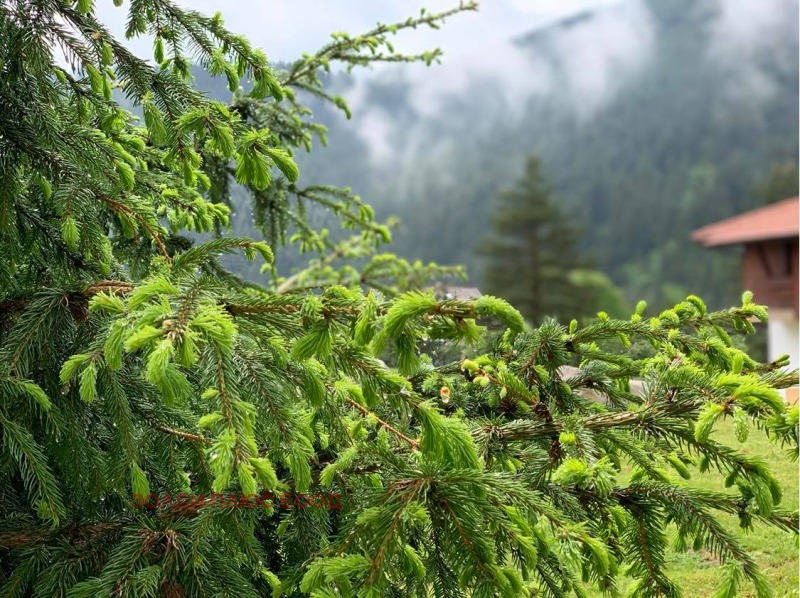 Продава КЪЩА, к.к. Боровец, област София област, снимка 7 - Къщи - 52706775