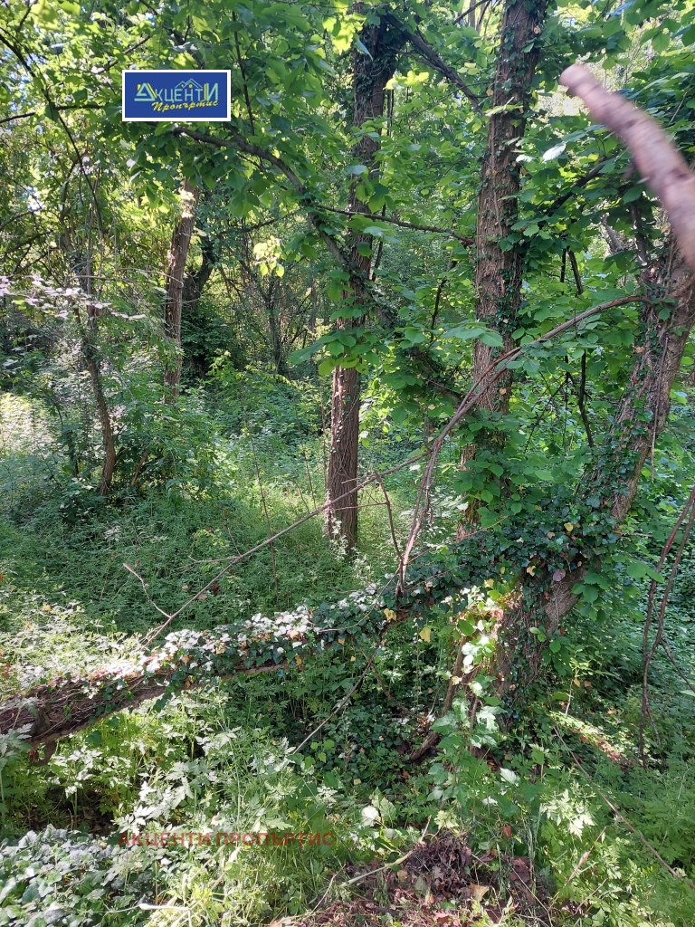 Προς πώληση  Οικόπεδο περιοχή Βέλικο Τάρνοβο , Ρυσαλια , 3100 τ.μ | 98966669 - εικόνα [4]
