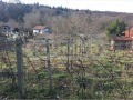 Продава ПАРЦЕЛ, гр. Варна, м-т Боровец - север, снимка 2