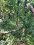 Продава ПАРЦЕЛ, област Велико Търново, с. Русаля • 18500 € • 23201533 — Holmes.bg