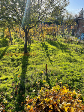 ������� ���� | Imot.bg � ����� ������ 7