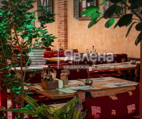 Bar; Café Zentar, Sofia