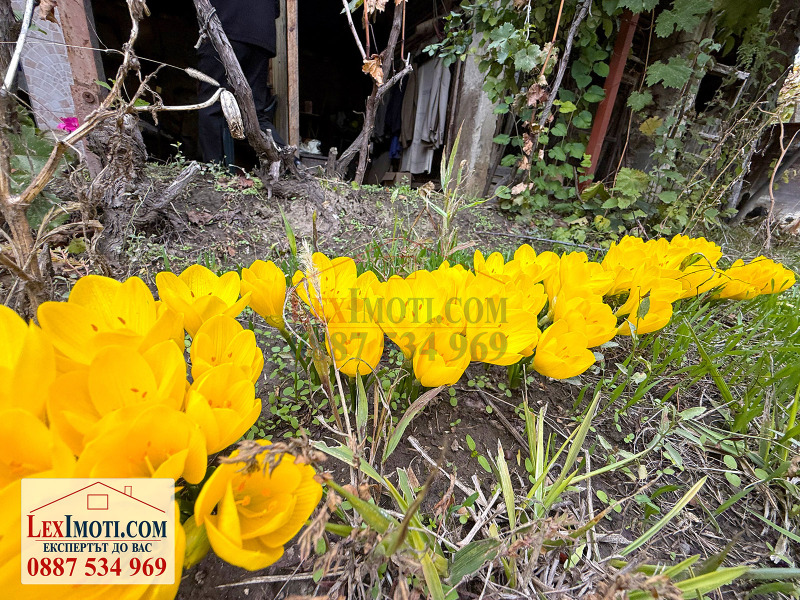 Продава КЪЩА, с. Басарбово, област Русе, снимка 2 - Къщи - 52159654