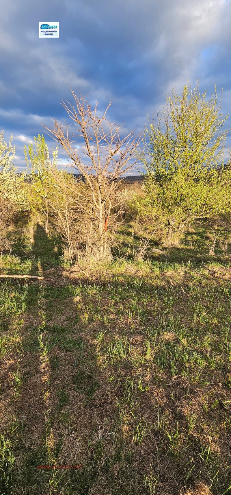 Продава ПАРЦЕЛ, с. Равново, област Велико Търново, снимка 4 - Парцели - 40353358