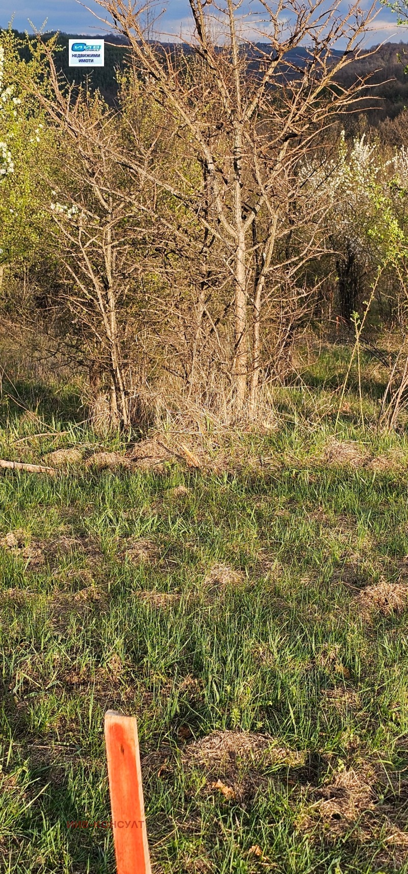 Продава ПАРЦЕЛ, с. Равново, област Велико Търново, снимка 2 - Парцели - 40353358