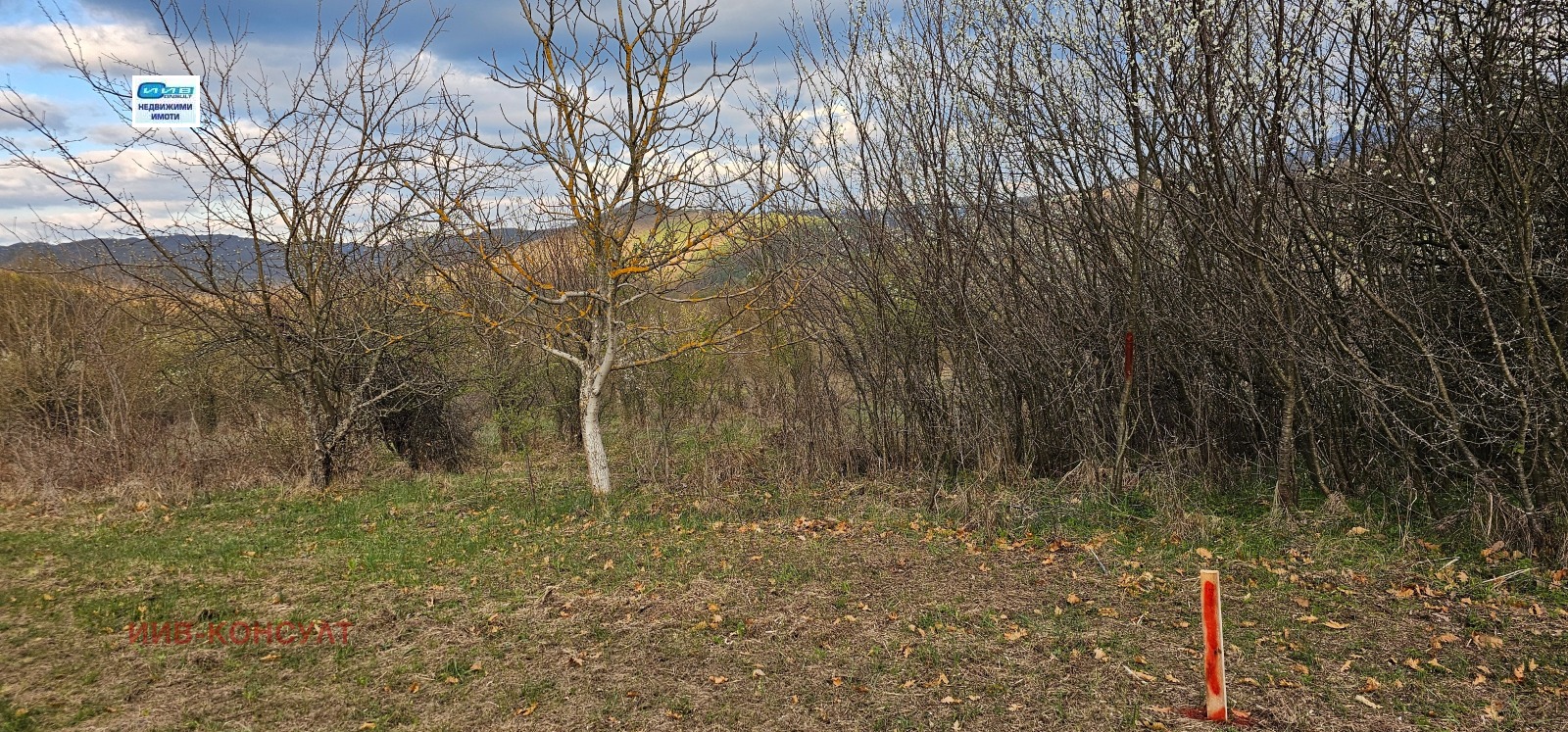 Продава ПАРЦЕЛ, с. Равново, област Велико Търново, снимка 2 - Парцели - 40353358