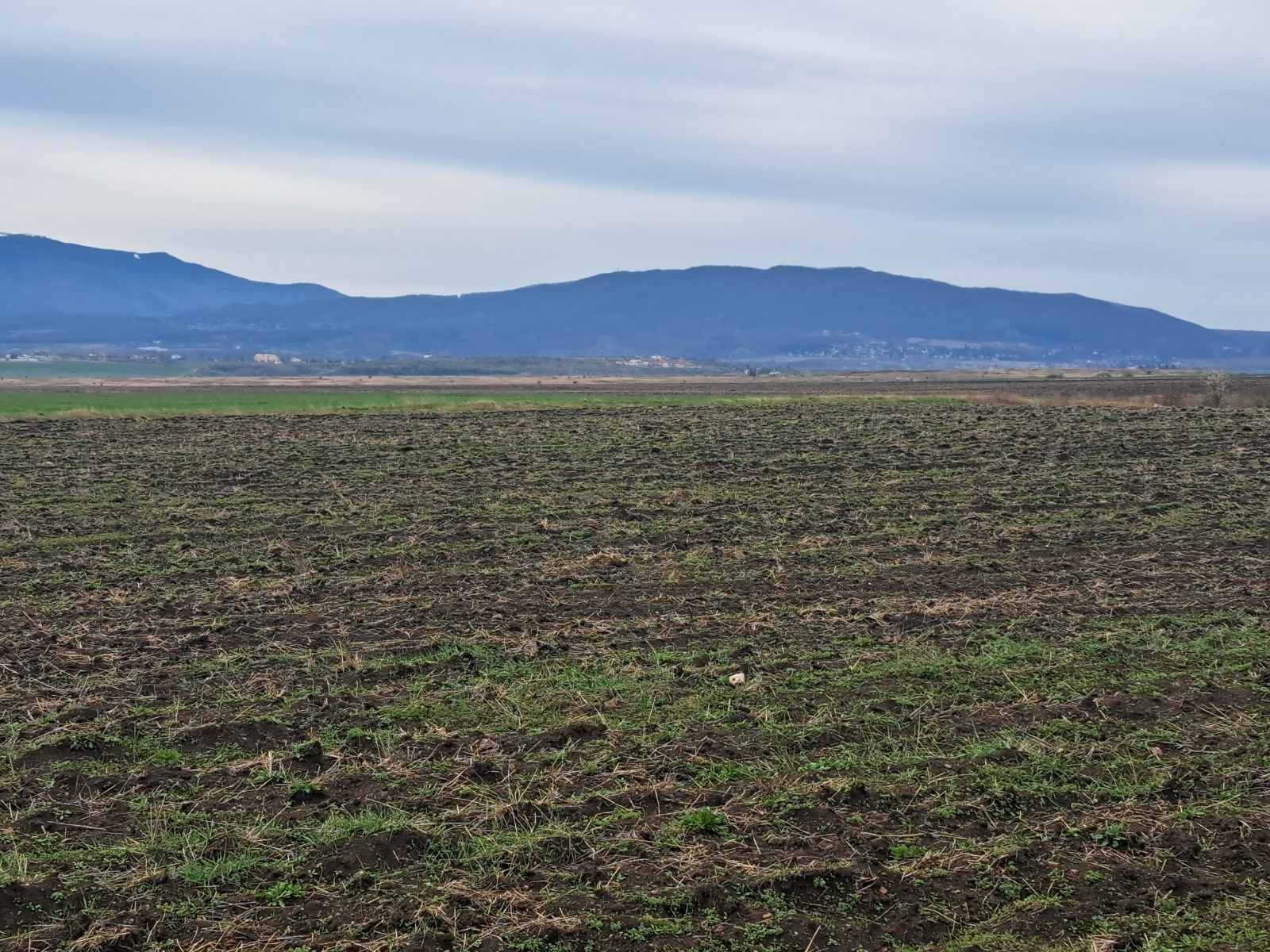 Продава ПАРЦЕЛ, гр. Божурище, област София област, снимка 2 - Парцели - 53633098