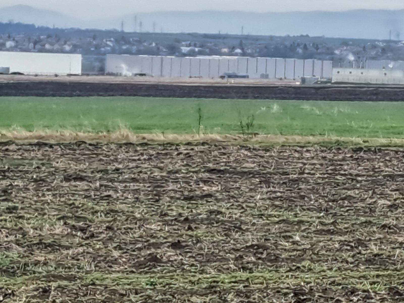 Продава ПАРЦЕЛ, гр. Божурище, област София област, снимка 7 - Парцели - 53633098