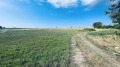 Продава ПАРЦЕЛ, с. Климентово, област Варна, снимка 1