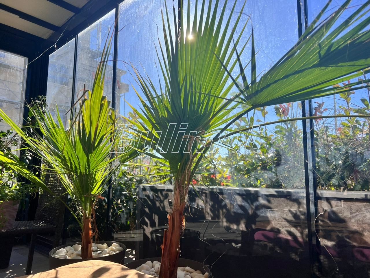 Продава 3-СТАЕН | Imot.bg — изображение 4