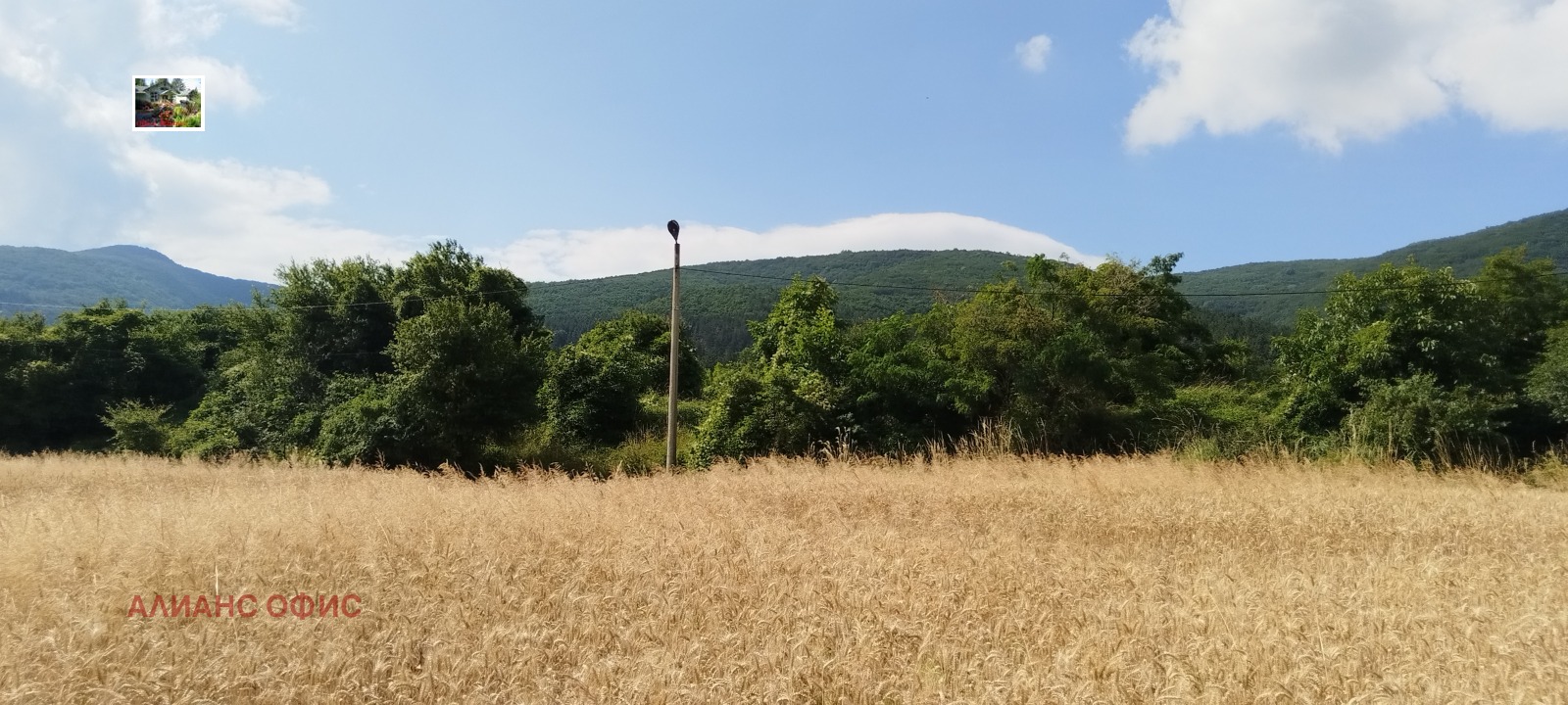 ������� ������ | Imot.bg � ����������� 12