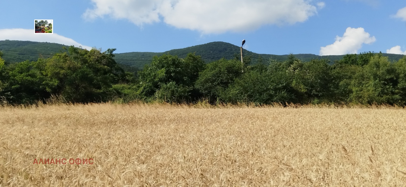 ������� ������ | Imot.bg � ����������� 1