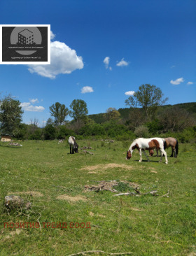 ������� ������ | Imot.bg � ����� ������ 4